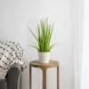 Northlight 24" Artificial Green Onion Grass Plant In Tin Pot -Home Decor Shop GUEST 013e9dc2 7d50 4b67 b7bc c0eb9c8b6d14