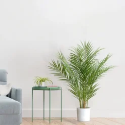 Forever Leaf 30" Artificial Palm Tree In Black Pot, Indoor Artificial Plant For Home Decor -Home Decor Shop GUEST 03e27d88 b25d 4261 baab 02f13c1c2969