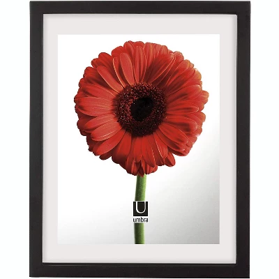 Umbra Floating Frame For Displaying Documents, Diploma, Certificate, Photo Or Artwork, 11 X 14 8-1/2 X 11, Black, 2 Count 5 Umbra Floating Frame For Displaying Documents, Diploma, Certificate, Photo Or Artwork, 11 X 14 8-1/2 X 11, Black, 2 Count - Image 3