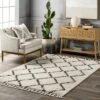 NuLOOM Michelle Diamond Trellis Tassel Area Rug 1 NuLOOM Michelle Diamond Trellis Tassel Area Rug -Home Decor Shop GUEST 083f08b3 5839 4a97 930a 885fb7e0cdcf