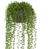 21" X 6" Artificial String Of Pearl Plant In Hanging Basket - Nearly Natural 1 21" X 6" Artificial String Of Pearl Plant In Hanging Basket - Nearly Natural -Home Decor Shop GUEST 0b0565d1 c847 42a9 aa0e 3f722671cb5a