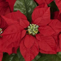 Poinsettia With White Wash Planter Silk Arrangement - Nearly Natural
