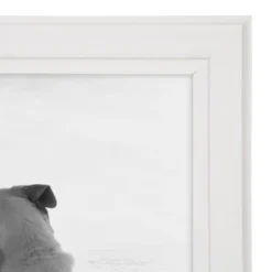 8" X 10" Kieva Tabletop Frame White - Kate & Laurel All Things Decor 9 8" X 10" Kieva Tabletop Frame White - Kate & Laurel All Things Decor -Home Decor Shop GUEST 11477e36 a36b 4e4e aa65 d123b8e4bc4c