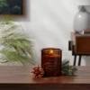 9oz Lidded Amber Glass Jar Crackling Wooden Wick Fennel And Pine Candle - Threshold™ 1 9oz Lidded Amber Glass Jar Crackling Wooden Wick Fennel And Pine Candle - Threshold™ -Home Decor Shop GUEST 12b52490 9d00 4e2c 8c08 8dca32cfa8c6
