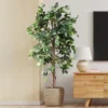 Forever Leaf 72" Artificial Ficus Silk Tree In Black Pot, Indoor Artificial Plant For Home Decor -Home Decor Shop GUEST 169b6653 75a9 474e 8db2 e5b2ffbef699