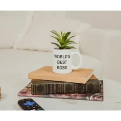 Silver Buffalo The Office "World's Best Boss" 3-Inch Ceramic Mini Planter With Artificial Succulent -Home Decor Shop GUEST 18029b7c b99e 46e2 941d bbb180aa567c