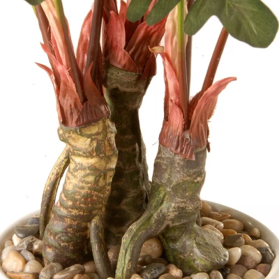 National Tree Company 21" Garden Accents Philodendron Flower 4 National Tree Company 21" Garden Accents Philodendron Flower - Image 2