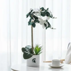 Forever Leaf Michigan State Faux Orchid, Indoor Artificial Plant For Home Decor -Home Decor Shop GUEST 267eaa03 4d2d 4a8b bcef a9bc0911d59f