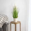 Northlight 27" Artificial Onion And Pampas Grass In Black Pot 2 Northlight 27" Artificial Onion And Pampas Grass In Black Pot -Home Decor Shop GUEST 2d3ac544 4fa1 435d a434 7ced7b2e7658