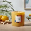 28oz Glass Lemon La Mer Candle Yellow - Opalhouse™ -Home Decor Shop GUEST 345325a5 f976 46d8 a646 203840829cb7
