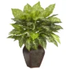 Nearly Natural 23-in Dieffenbachia W/Decorative Vase Silk Plant -Home Decor Shop GUEST 357a6af6 c8fa 4997 876c 6aa76295393b