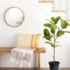 39" Faux Audrey Ficus Tree - Hearth & Hand™ With Magnolia -Home Decor Shop GUEST 36377d3d e506 4c79 a29d 1650c2cba41f