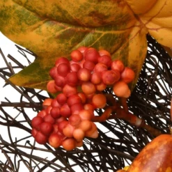 National Tree Company Artificial Autumn Wreath, Decorated With Pumpkins, Gourds, Berry Clusters, Maple Leaves, Autumn Collection, 22 In -Home Decor Shop GUEST 3c9367ac d6ed 44eb 959d 0d8de15864ed