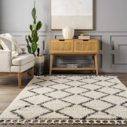 NuLOOM Michelle Diamond Trellis Tassel Area Rug -Home Decor Shop GUEST 3cb63af2 28d5 45aa 929c ae84540e0762