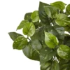 Nearly Natural 16-in Pothos Artificial Plant (Set Of 6) -Home Decor Shop GUEST 3cba989f 5c4c 4d61 b8bb 8e0665f83bcd