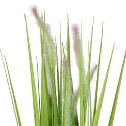 Northlight 24" Artificial Green Onion Grass Plant In Tin Pot 8 Northlight 24" Artificial Green Onion Grass Plant In Tin Pot -Home Decor Shop GUEST 447edf5e f87d 4a19 a12c c4c951237af5