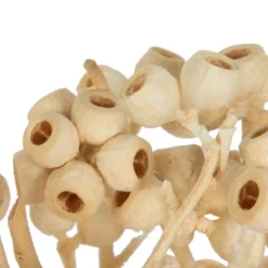 Vickerman Natural Botanicals 14" X 1-3" Ambernut Branch -Home Decor Shop GUEST 49a3e4ad dd70 43a1 b757 d0ce40ded9c1