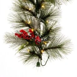 Vickerman Frosted Red Garlands -Home Decor Shop GUEST 4a387a7c 466a 4779 9f1c dde208d288a8