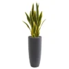 Nearly Natural 3-ft Sansevieria Artificial Plant In Gray Bullet Planter -Home Decor Shop GUEST 4b8a8c48 747b 4419 90a7 644a3cff71e8