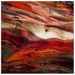 Calabasas Abstract Loomed Area Rug - Safavieh -Home Decor Shop GUEST 51b69280 2dda 4fb6 b4f0 fe4b4c5cde9c