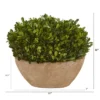 Nearly Natural 12-in Boxwood Preserved Plant In Oval Planter