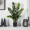 Nearly Natural 3-ft Zamioculcas Artificial Plant -Home Decor Shop GUEST 5b5e2cd3 4e60 4944 a12d ffaf3a4f2436