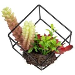 Northlight 5.5" Artificial Succulent Arrangement In Black Metal Wire Frame -Home Decor Shop GUEST 68e0c154 15db 4cca 9a11 5dc80a312120