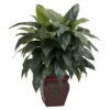 Nearly Natural Cordyline W/Decorative Vase Silk Plant 1 Nearly Natural Cordyline W/Decorative Vase Silk Plant -Home Decor Shop GUEST 6a109e16 915b 4aeb b1ad cd62d4f0de5d