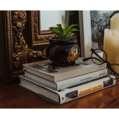 Silver Buffalo Harry Potter Hogwarts Cauldron Ceramic Mini Planter With Artificial Succulent -Home Decor Shop GUEST 6ed8bc26 355e 4c05 a60e 9091e65a9979