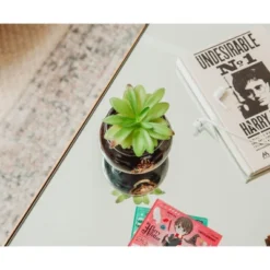 Silver Buffalo Harry Potter Hogwarts Cauldron Ceramic Mini Planter With Artificial Succulent -Home Decor Shop GUEST 7bbb01cb dbc4 4d55 8c3c e5898301ad3b