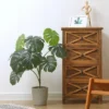 Forever Leaf 32" Artificial Monstera Plant In Cement Pot, Indoor Artificial Plant For Home Decor -Home Decor Shop GUEST 8923326c caf1 49bb 8140 ae36937fcfec