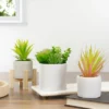 Northlight 5.5” Mixed Artificial Succulent Arrangement In A White Pot -Home Decor Shop GUEST 9cde9156 060b 4f51 b353 a32152c95b4a