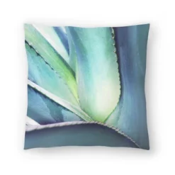 Mexico Cactus By Tanya Shumkina Throw Pillow - Americanflat -Home Decor Shop GUEST 9e7e105a dda8 4d18 9b2b 845c153b2184