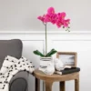 Northlight Real Touch™ Pink Artificial Spring Orchids In A Striped Ceramic Pot 2" -Home Decor Shop GUEST 9fb5159e 70aa 466f 827d 37ee0c809837