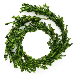 6ft Preserved Boxwood Garland - Sugar Paper™ + Target -Home Decor Shop GUEST a7152608 d142 4f82 b10a 1d6cf9ccd4d3