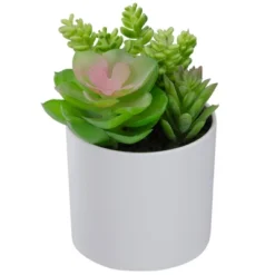 Northlight 5.5” Mixed Artificial Succulent Arrangement In A White Pot -Home Decor Shop GUEST b0b4160a 5f01 4bcf ad0b d790f41576c6