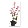 Nearly Natural 2.5-ft Cherry Blossom Artificial Plant -Home Decor Shop GUEST b16cb675 2edf 413d 931f c9bc3c4dd8bf