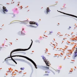 Good Chemistry™ Refillable Glass Candle And Plant-Based Candle Refill Kit Lavender And Ooh La La - 8.3 Oz -Home Decor Shop GUEST b98ad29f 2146 4712 90e6 cc3d275897e9