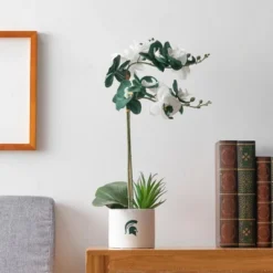 Forever Leaf Michigan State Faux Orchid, Indoor Artificial Plant For Home Decor -Home Decor Shop GUEST c8f98faa c24d 41e1 926d 2f2ecb9e2fbc