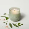 12oz Serenity Fashion Salted Glass Candle Green - Casaluna™ -Home Decor Shop GUEST cd9f6596 7045 464c 966e 8dcb30552594