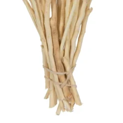 Vickerman Natural Botanicals 14" X 1-3" Ambernut Branch -Home Decor Shop GUEST e5deaa33 654a 4773 b850 f7fccf5270d1