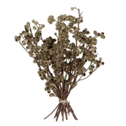 Vickerman Natural Botanicals 14" X 1-3" Ambernut Branch -Home Decor Shop GUEST e9359731 09f8 43eb bbe4 4b07d060a412
