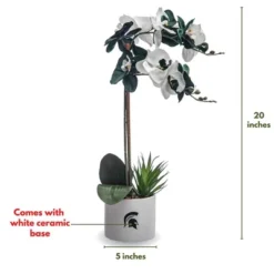 Forever Leaf Michigan State Faux Orchid, Indoor Artificial Plant For Home Decor -Home Decor Shop GUEST ec9f9aeb 377b 4aab 8542 a96b7de77509 1
