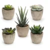 MPM Artificial Succulent Plants Potted, Assorted Decorative Faux Succulent Potted Fake Cactus Cacti Plants With Pots, For Office, Living Room Set Of 5 -Home Decor Shop GUEST edb8ff6c 5499 432b b7c3 d5c861d69308