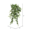 Vickerman 26" Artificial Green Mini Ivy Hanging Bush. 2 Vickerman 26" Artificial Green Mini Ivy Hanging Bush. -Home Decor Shop GUEST f2b22b7c d9f3 47b1 a84f 5ae7b2e00f25
