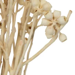 Vickerman Natural Botanicals 14" X 1-3" Ambernut Branch -Home Decor Shop GUEST f9853764 6b9b 4282 8fb6 dfe44863a9b4