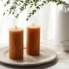 2pk Pillars Vanilla Pumpkin Orange - Threshold™ -Home Decor Shop GUEST fa13aebd 398f 4e50 af52 3d1987ab4a55