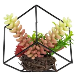 Northlight 5.5" Artificial Succulent Arrangement In Black Metal Wire Frame -Home Decor Shop GUEST fa240385 37e0 4a19 bb6f 522d160b9dc2